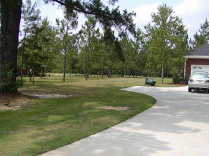 image01.jpg